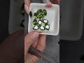 Распаковка фурнитуры с сайта Алиэкспресс для создания украшений