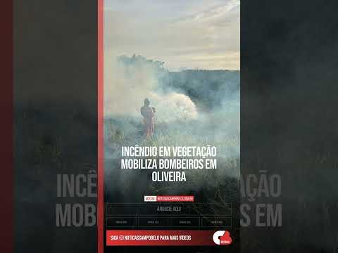 Incêndio em vegetação mobiliza Bombeiros em Oliveira #Shorts
