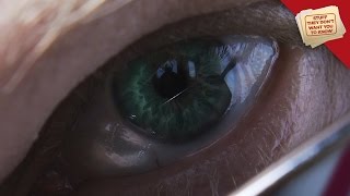 Intelligence Agencies and Cults