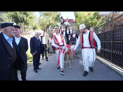 Tradita Kuksiane / Pritja e dajave tek dasma e nipit (Dasma/Shqiptare 2025)