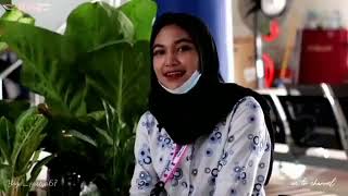 Download lagu STORY WA KATA-KATA PRAMUGARI BUS STJ mp3