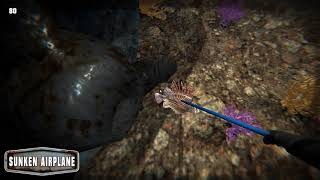 Lionfish Game - Sunken Airplane Dive Site