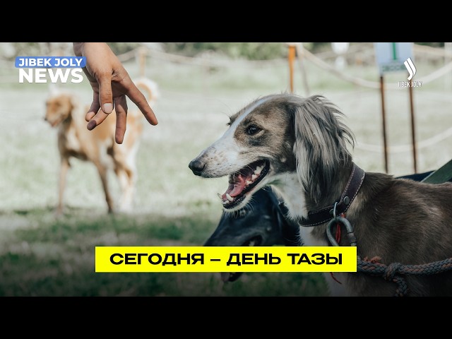 В Казахстане впервые отмечают День тазы