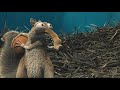 THX Scrat 2 Moo Can EX Logo