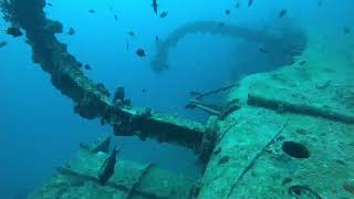 TEERA SCUBA VENTURES, OKINAWA（ティーラ　スクーバ　ヴェンチャーズ）