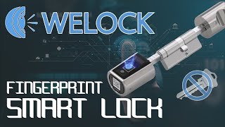 WELOCK Elektrisches Türschloss mit Fingerabdruck & RFID Zugang | Fingerprint Smart Lock | Erfahrung