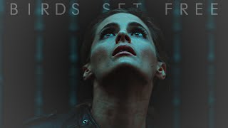 kate beckett | bird set free