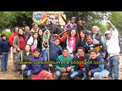 Black Jack, Pista Pangare Cruz del Eje (01-11-15)