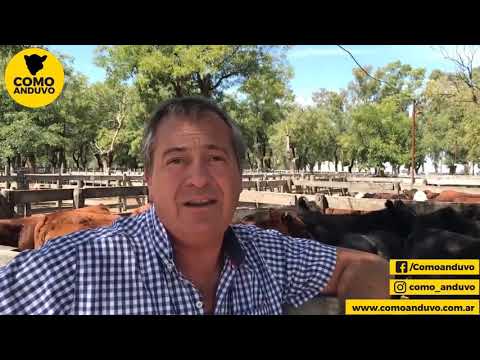 10-03-21 - Adolfo Koerner - Consignatario - Remate de Adolfo Koerner y Cía. S.A. - Azul, Bs.As.