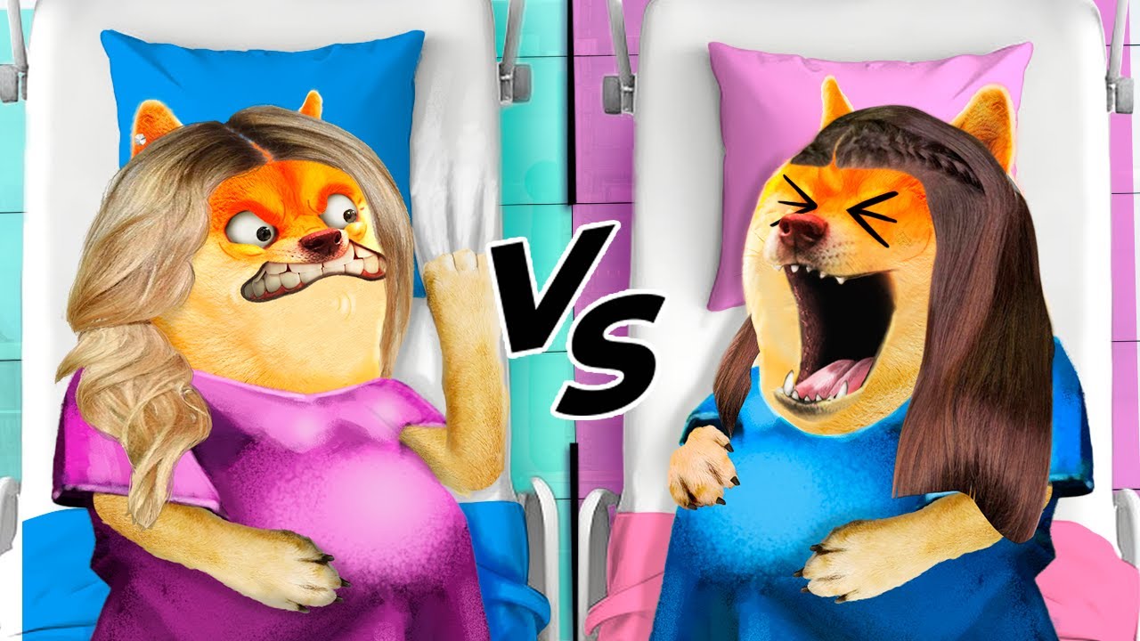 They bet they WOULDN’T scream during childbirth! 😱🤰💰