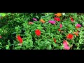 Pathinonnil Vzhalan Marhazhi Song