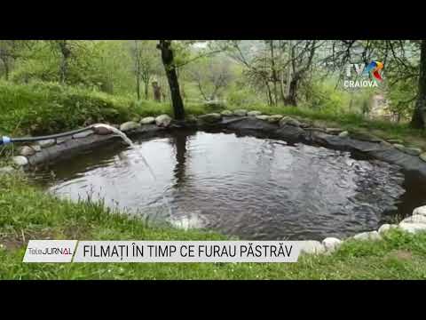 FILMAȚI ÎN TIMP CE FURAU PĂSTRĂV