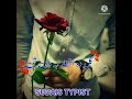 Pashto Poetry Pashto Shayari WhatsApp Status S Writes Short