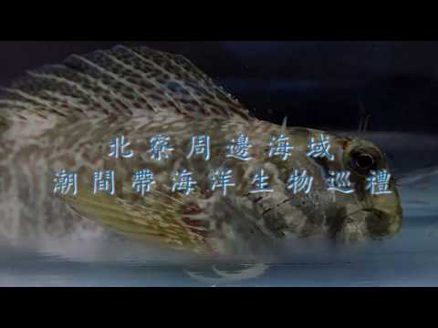 Masai Bunkai-Hokuryo Dançarina Maré Oceano