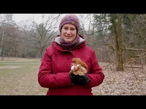 #Naturwissen: Tiere im Winter