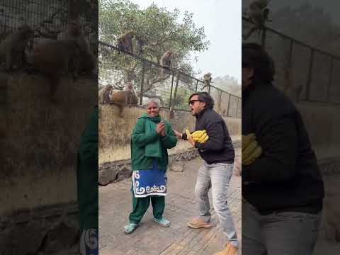 ❤️இந்த மனசு தான் கடவுள்பசியால் தவித்த உயிர்களுக்கு உணவு பாட்டிக்கு உதவி செய்த நல்ல உள்ளம்💖 #humanity