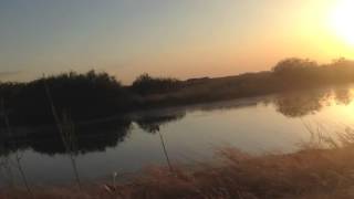 Self Help for Depression and Anxiety by Payton