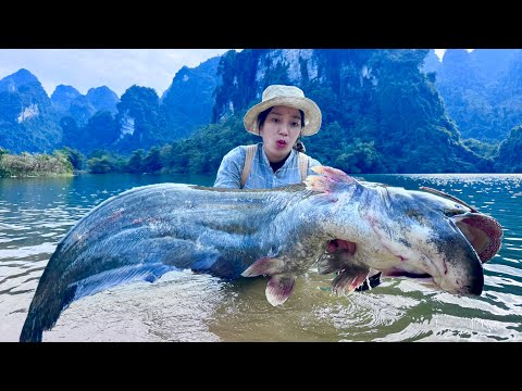 Traditional Fishing Skills - Single Mother Catches A Sea Monster Beneath The Towering Mountains