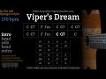 Viper's Dream (170 bpm) : Gypsy jazz Backing track / Jazz manouche