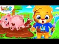 Animals And Their Homes Animals For Kids Toddler Learning Video Learn Animal Names