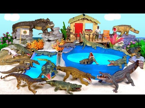 Crocodiles, Alligators, Reptiles, Gators, Crocs, Caiman, Gharial, Ancient Crocodilians