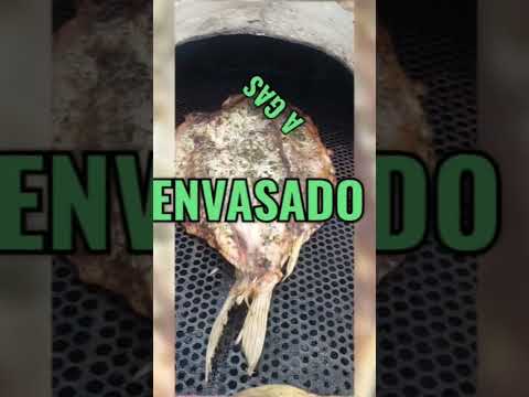 INYECCION INDUSTRIAL GAS FABRICACIÓN HORNOS MECHEROS REPARACIONES BELL VILLE CÓRDOBA 🇦🇷       🔥 🔥 🔥