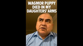 Customer: Wagmor Sold Me a Sick Puppy