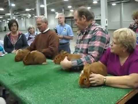 Glen Carr on Thrianta Color