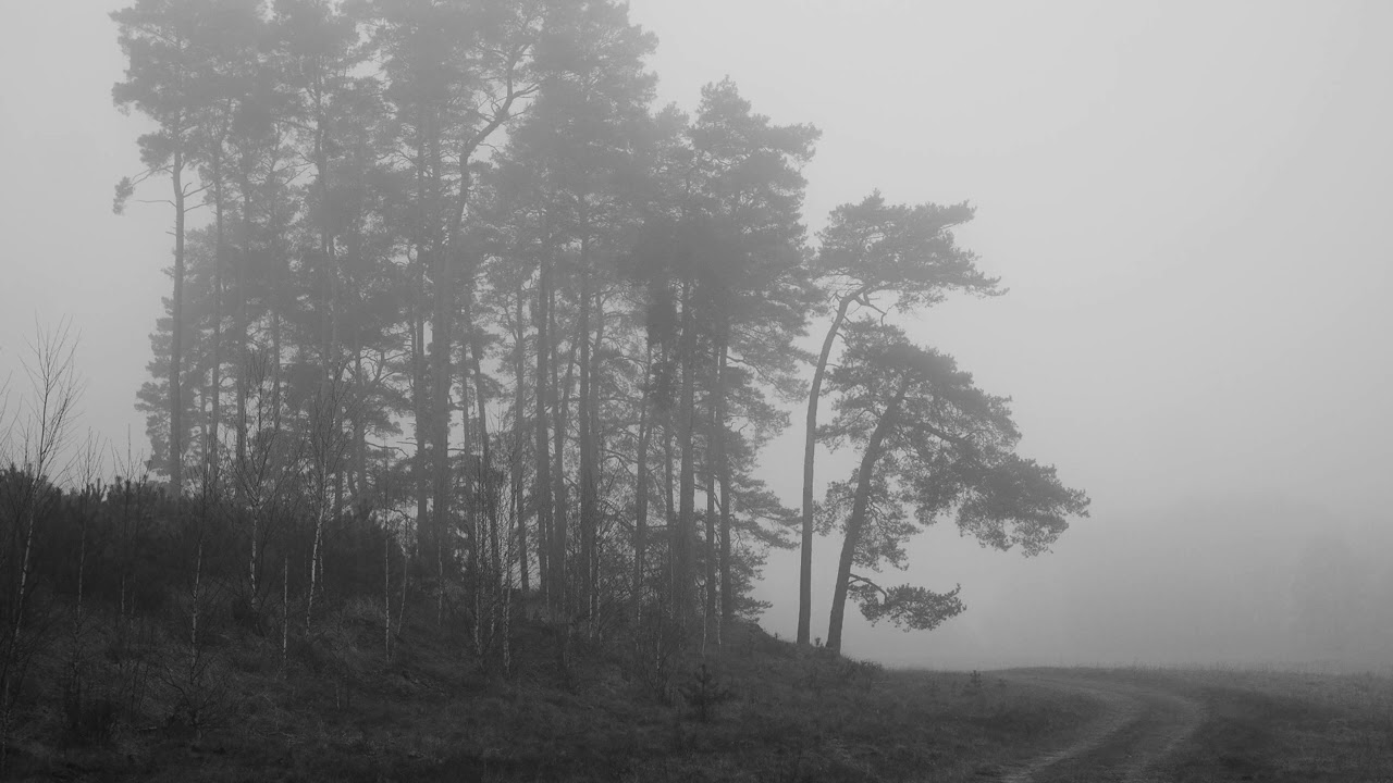 Path In The Fog Cinematic, Suspended, Contemplative music. Free for use.