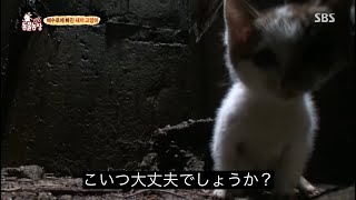 鳴潮やるデイ