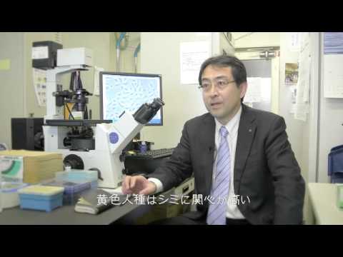 バイオ・応用化学科の研究力
