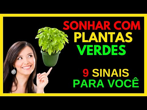 DREAMING ABOUT GREEN PLANTS - FIND OUT THE MEANING NOW