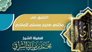 التعليق على مختصر صحيح مسلم  (٢٨) image