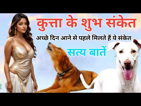 अच्छे दिन आने से पहले कुत्ता देता है यह शुभ संकेत |Dog Story | Prachin Gyan kahani