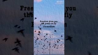 Freedom gives you wings to fly