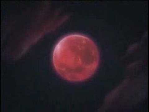 Thumbnail for Pretty Polly - A Hisoka Tribute by Queen