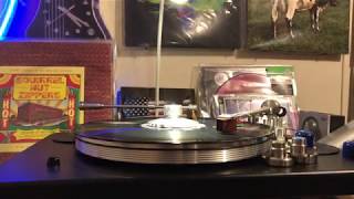 Flight of the Passing Fancy by The Squirrel Nut Zippers