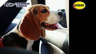 Cooper Tire Spring Promotion