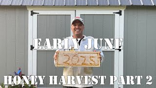 Early June & Honey Harvest Part 2 | #colesfarmnc #jacksonvillenc #beekeeping