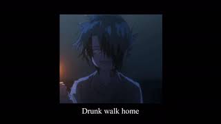 Drunk walk home - Mitski (1 hour loop)