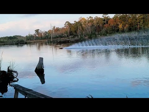 Sketchy Blackjack 42 Beat Down - CC Hydra - Smc - Rc Speedrun