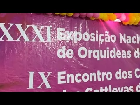 COMO FOI A XXXI EXPOSIÇÃO DE ORQUÍDEAS DE GOIÂNIA-GOIÁS 2026🌺