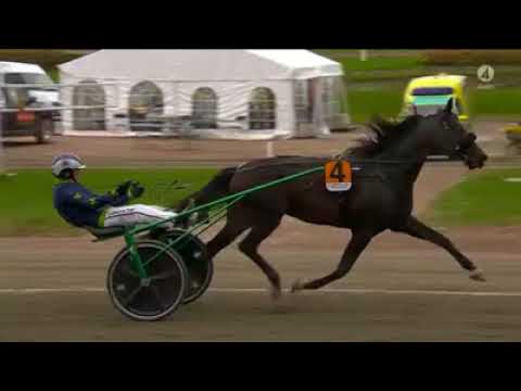 RINGOSTARR TREB       TRIBUTE    By Trotto che passione