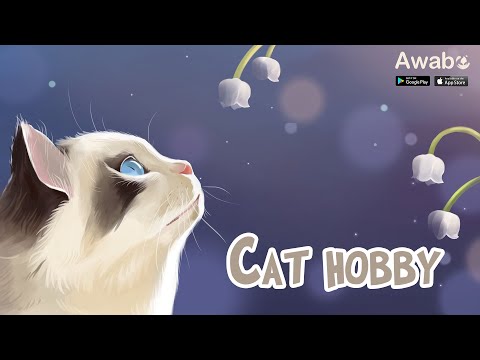 Cat hobby