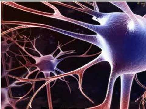 メモリを理解する (Understanding Memory)