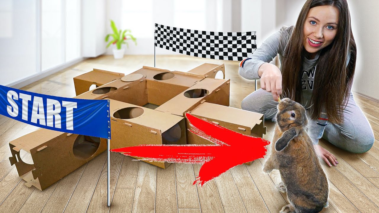 КРОЛИК ПРОХОДИТ ЛАБИРИНТ ИЗ КАРТОНА Тоннель Полоса препятствий Elli Di Pets