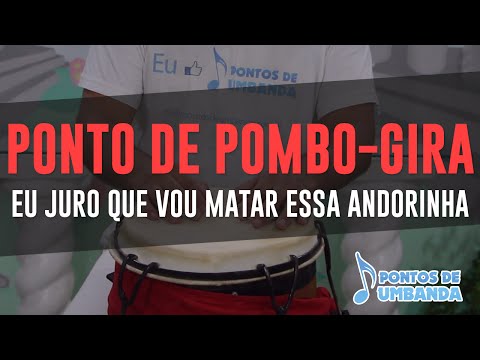 Capa do vídeo: Gira – Eu juro que vou matar essa andorinha