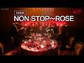 HANA NON STOP ROSE MUSIC AWARDS JAPAN 2026