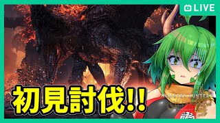 【モンハンワイルズ】ゴグマジオス初見討伐.....！【MHWilds/モンスターハンターワイルズ】
