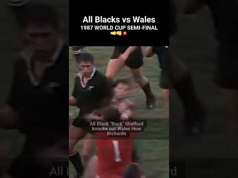 All Blacks Fight Wales in the 1987 Rugby World Cup Semi-Final #rugby #fight #rugbyworldcup